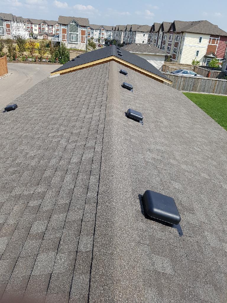 New shingles on a home roof